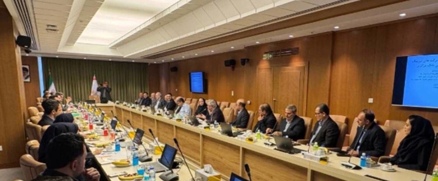 ببینید / سقوط هواپیمای آموزشی نیروی هوایی پاکستان در پی نقص فنی