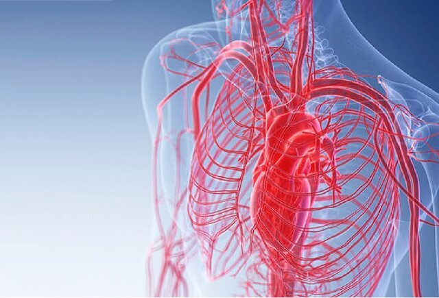 انجام یک آزمایش ساده برای اطمینان از ضریب هوشی کودک