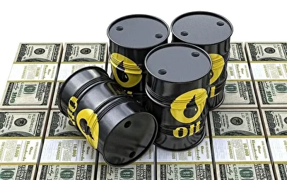 فرمانده ارتش پاکستان راهی تهران شد/ دلیل این سفر ناگهانی چیست؟