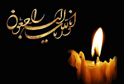 قیمت جدید انواع حبوبات ۲ خرداد ۱۴۰۵ / لوبیا چیتی، لوبیا قرمز، نخود و...کیلویی چند شد؟ + جدول