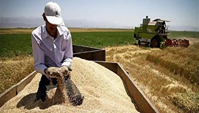 اعتراف تکان‌دهنده مرد تهرانی: به زنم برق وصل کردم و او را کشتم