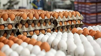 بورس همچنان سبزپوش؛ افت هیجان خرید در ششمین روز معاملاتی؟